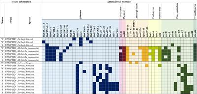 Whole Genome Sequencing of Extended-Spectrum- and AmpC- β-Lactamase-Positive Enterobacterales Isolated From Spinach Production in Gauteng Province, South Africa